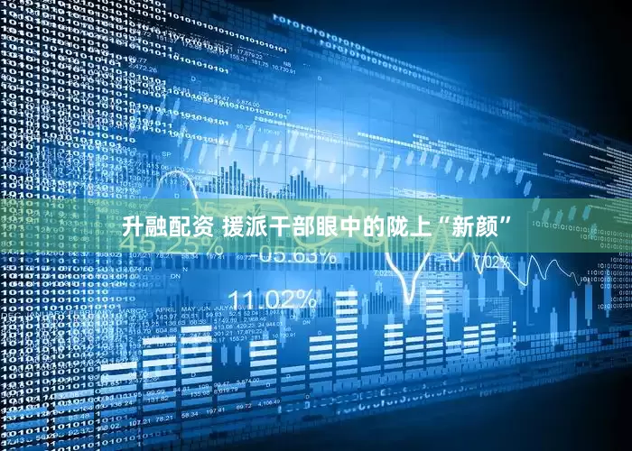 升融配资 援派干部眼中的陇上“新颜”