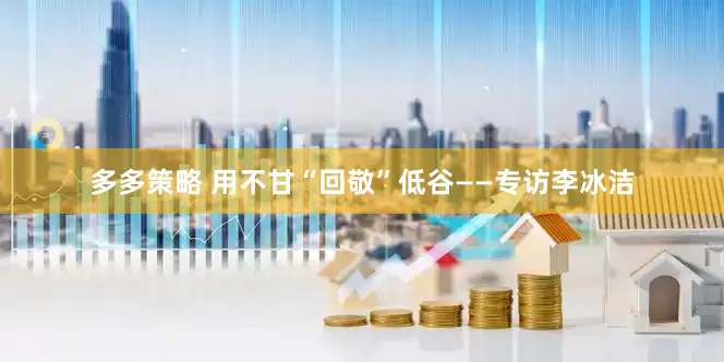 多多策略 用不甘“回敬”低谷——专访李冰洁
